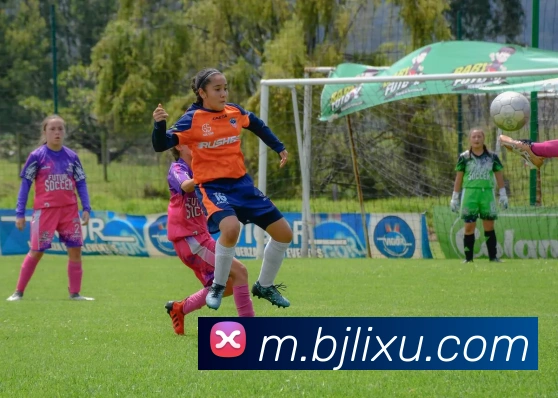 百家乐网站品牌故事